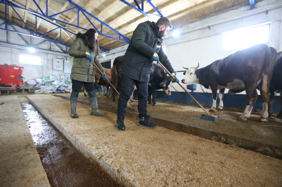 Ekran Görüntüsü 2026 01 07 121858