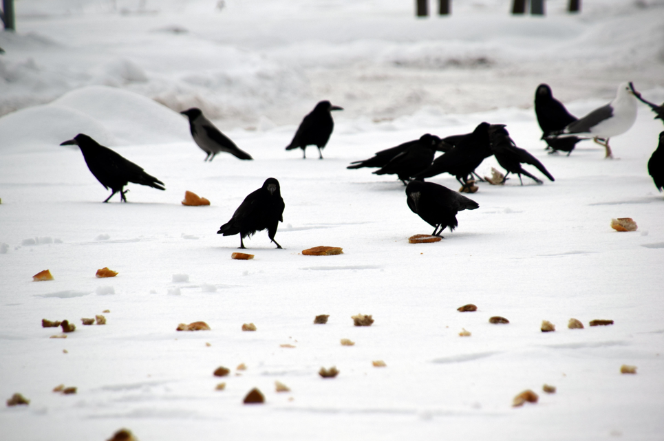 Ekran Görüntüsü 2026 01 12 150810