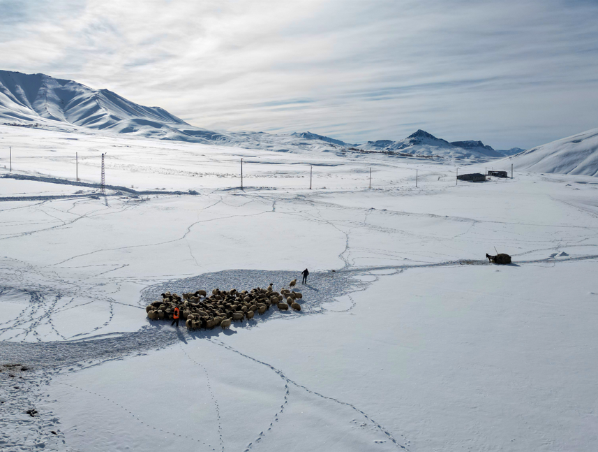 Ekran Görüntüsü 2026 01 14 113542