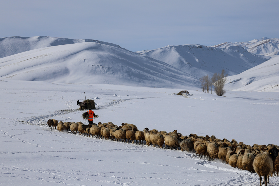 Ekran Görüntüsü 2026 01 14 113551