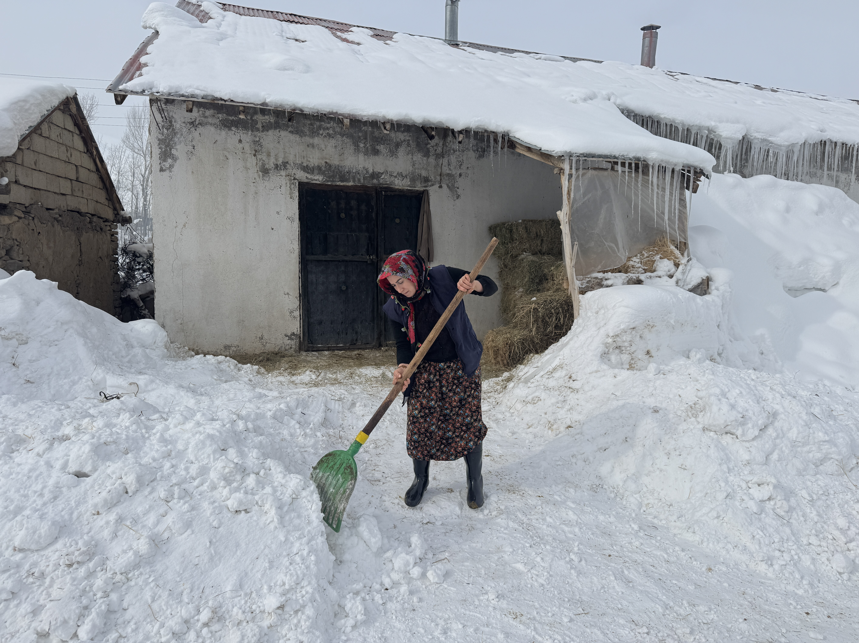Kadın girişimci devlet desteğiyle manda sayısını arttırdı