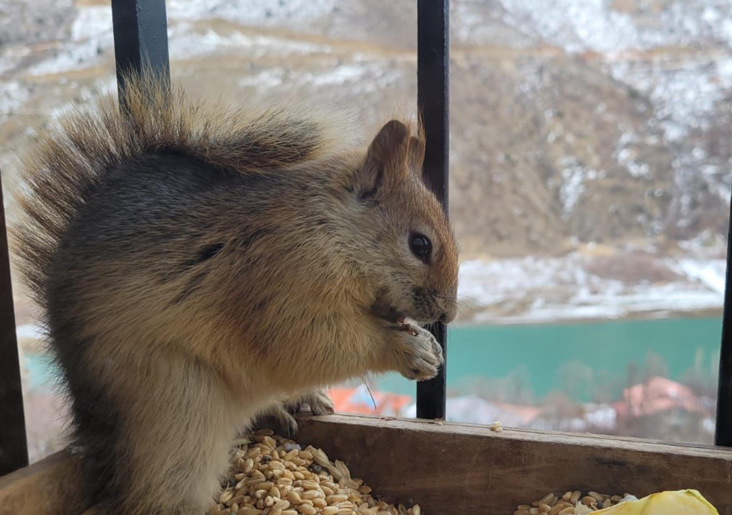 H E R G U N P E N C E R E S I N E G E L E N S I N C A B I B E S L I Y 1129351 335325