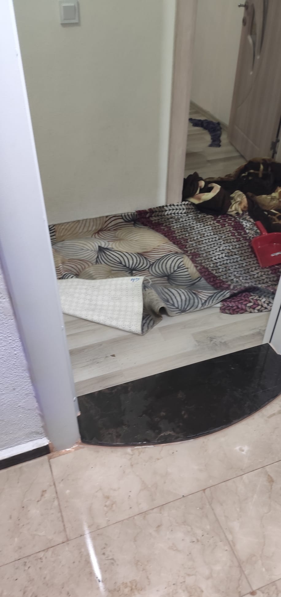 I M G 20260130 004414