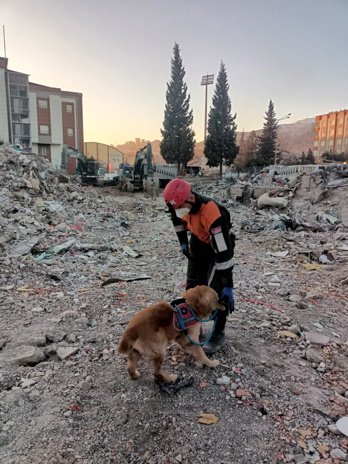 J A K K O P E G I O C A K 8 Y I L D A 48 C A N K U R T A R 1131873 336050