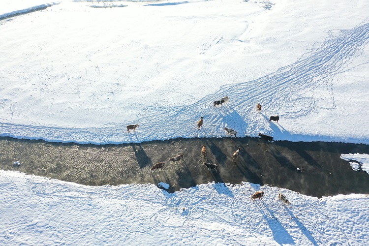 Ocak 8 20260108 2 72395352 120946442