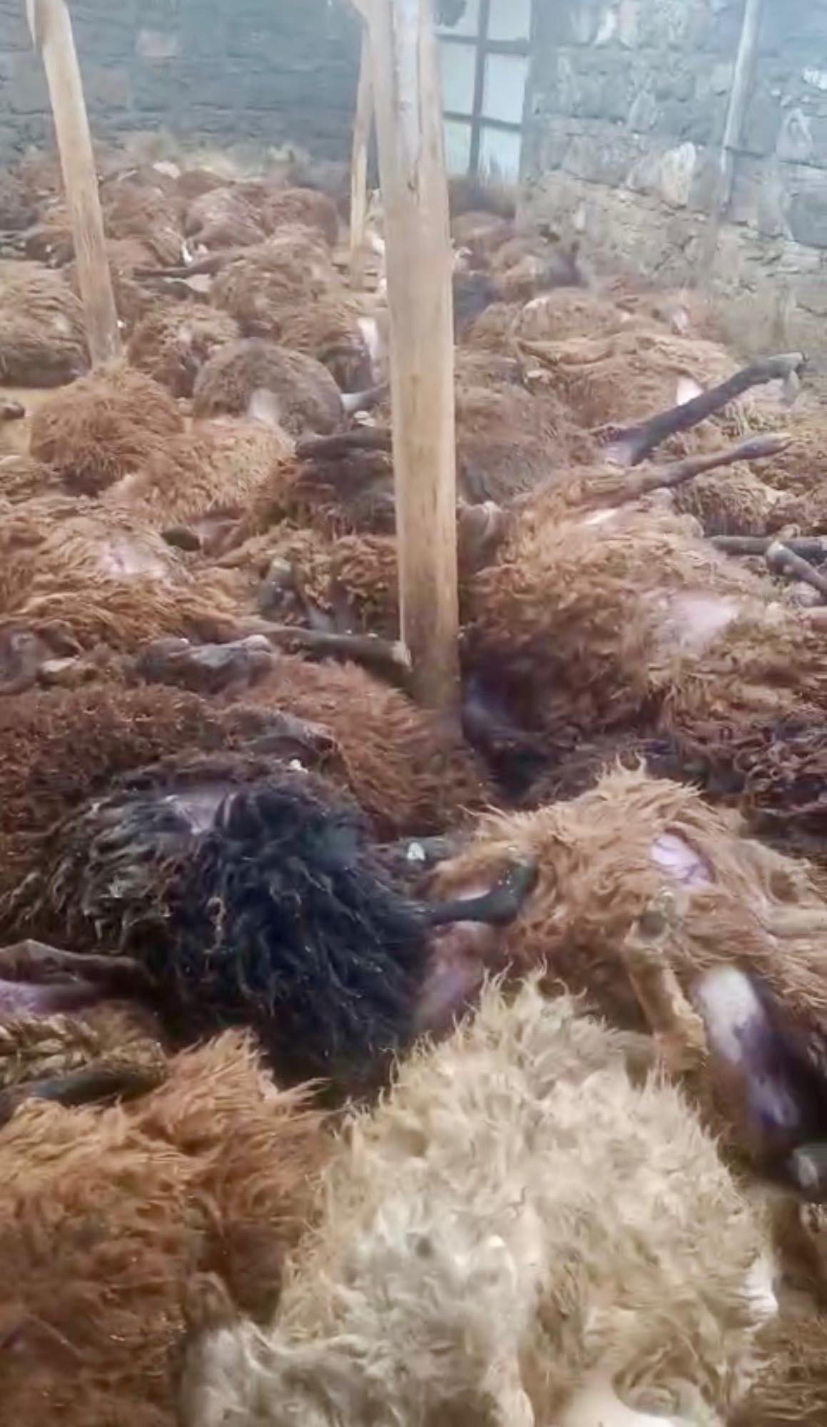 S I S L I H A V A D A K O Y E I N E N K U R T A G I L D A K I 20 1139413 338330