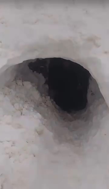 S O G U K T A N E T K I L E N E N B U Z A G I Y I E V I N E G E T I R I 1094061 324745