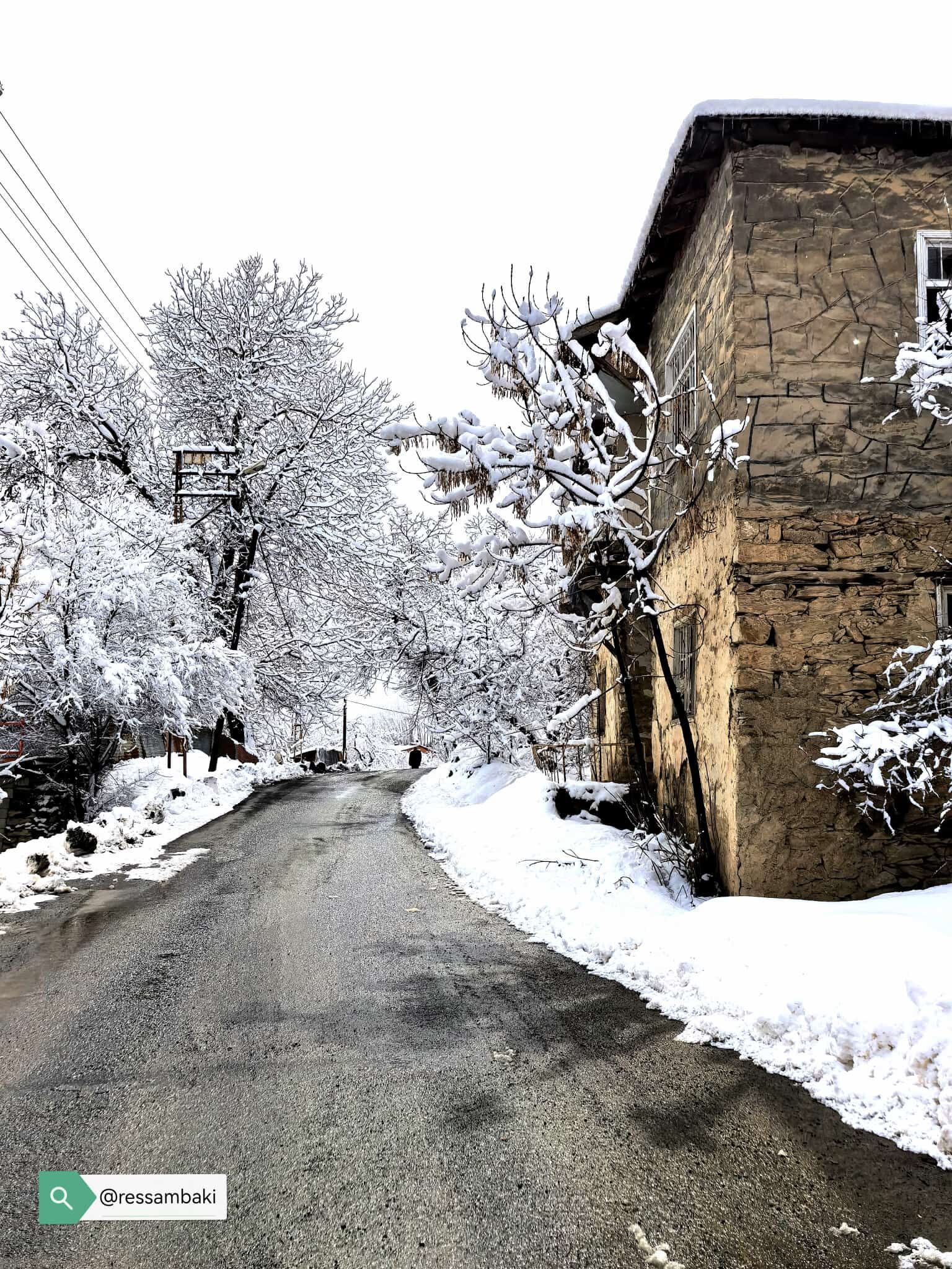 0D2A5A61 2Da0 4Eab A81D 365229087B89 (1)