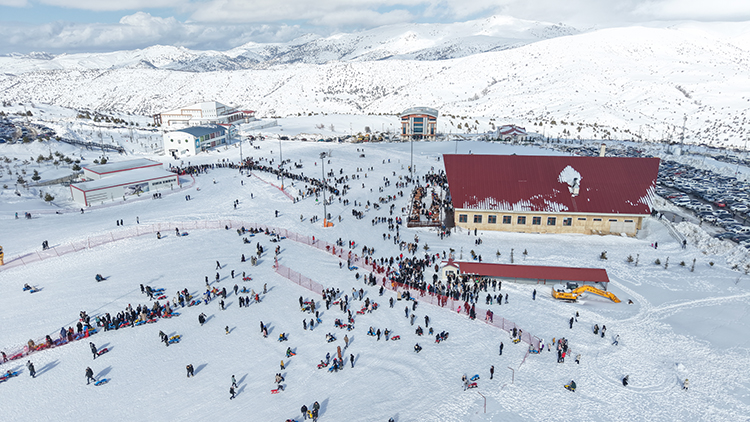 2026 9 20260201 2 72758258 121784986