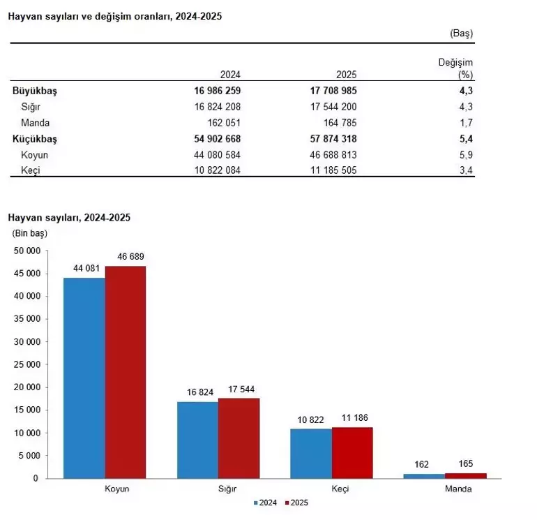 698Ae8D8F54A18C0D0F91887