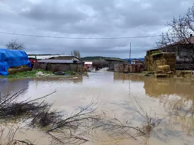 Tarım arazileri su altında kaldı
