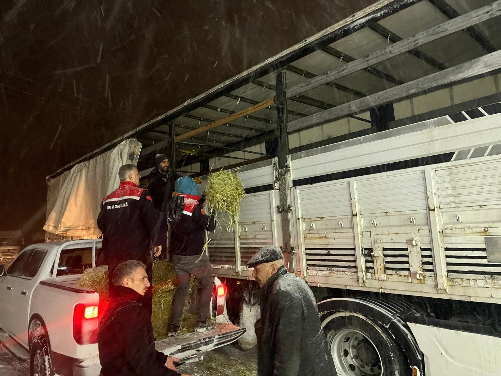 Erzurum’da yolda kalan tırlardaki hayvanlar beslendi