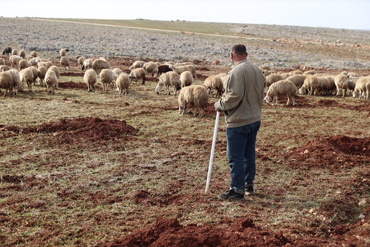 S U B A T 1 20260202 2 72765645 121807188