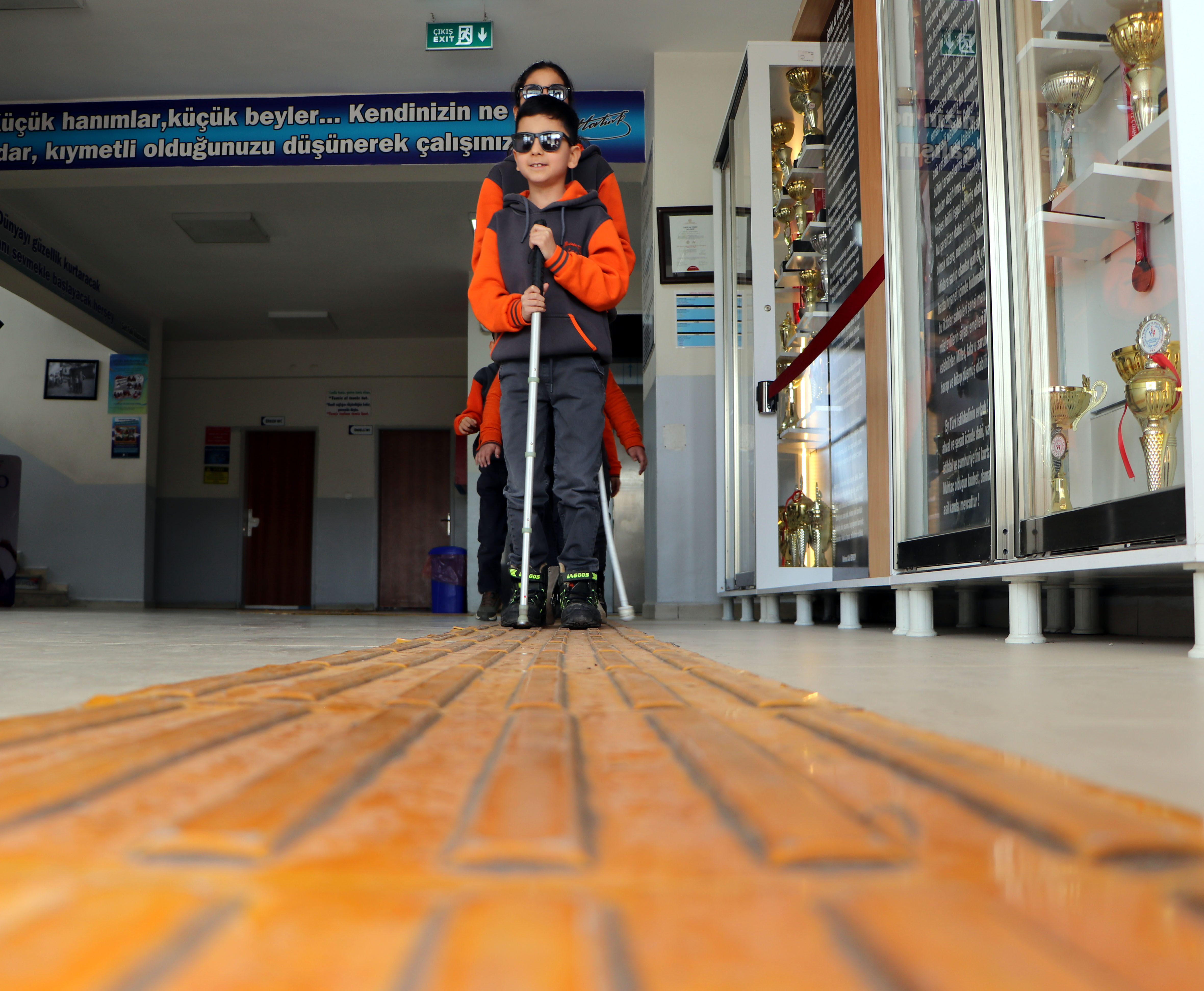 V A N I N E N G E L L E R I A S A N S I N I F I 1184624 351957