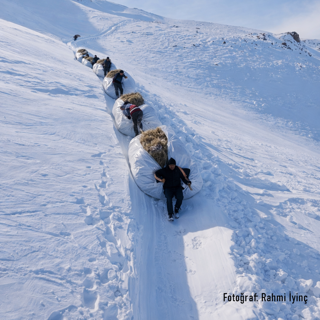 Hakkari'de yürekleri ısıtan görüntü