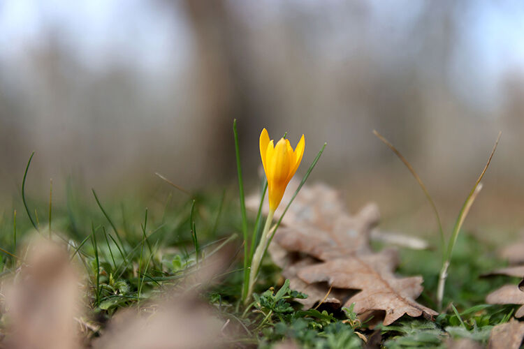 006 2026 10 Mart 30 Mart 25 20260303 2 73211276 122836796