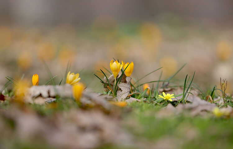 006 2026 10 Mart 30 Mart 25 20260303 2 73211276 122836798