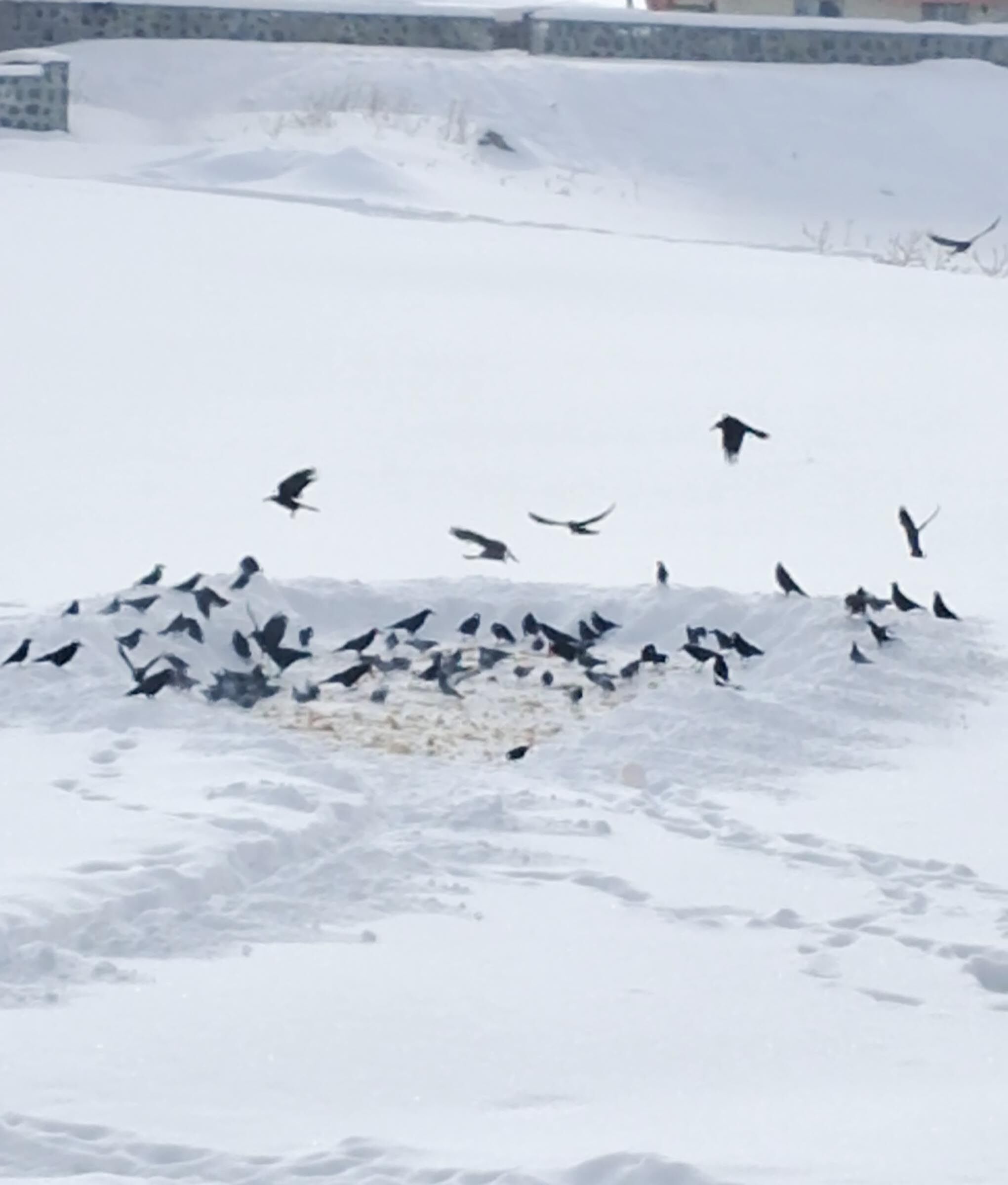 10 Y I L D I R A L L A H I N M I S A F I R I D E D I K L E R I 1202780 357616