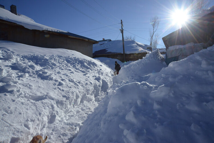 Muş’ta karla kaplı köyde yaşam mücadelesi