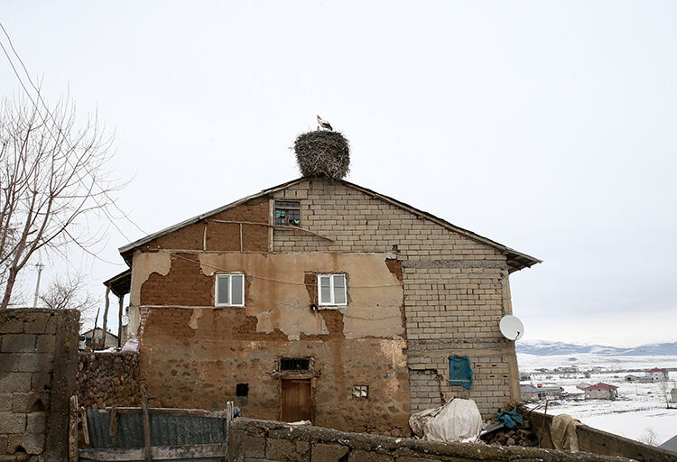 Köyün misafiri leylekler 44 yıldır aynı yerde