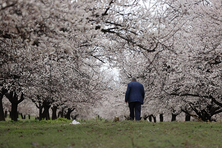 2026 03 23032026 Malatya1