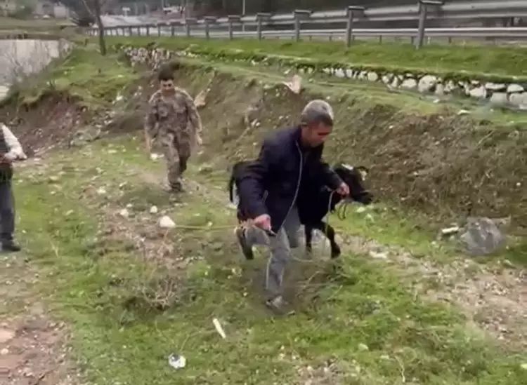 69C56B24Bc01Ba8B384E03Cc