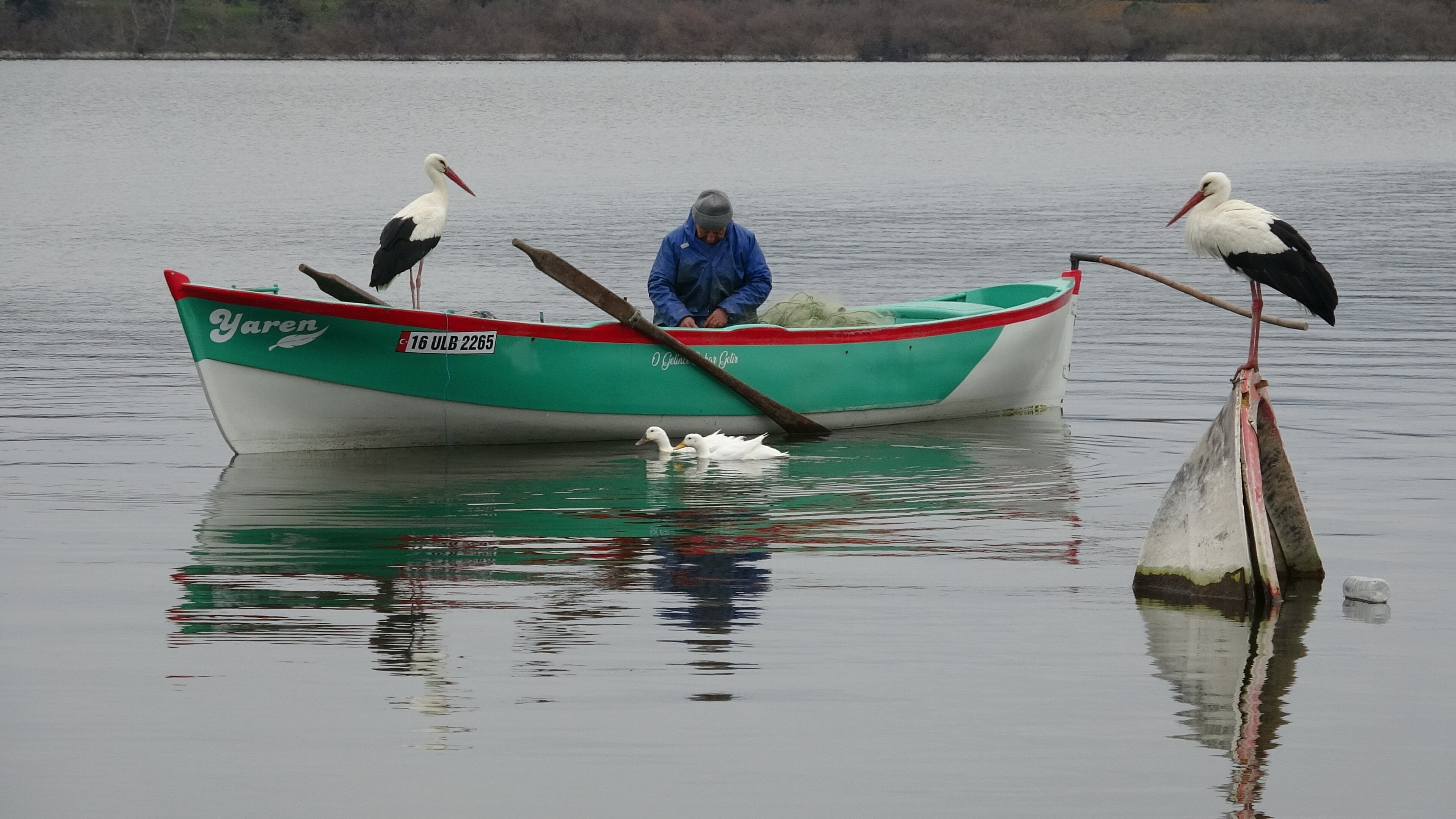 Adem Amca, 15 yıllık dostu Yaren leylekle özlem gideriyor