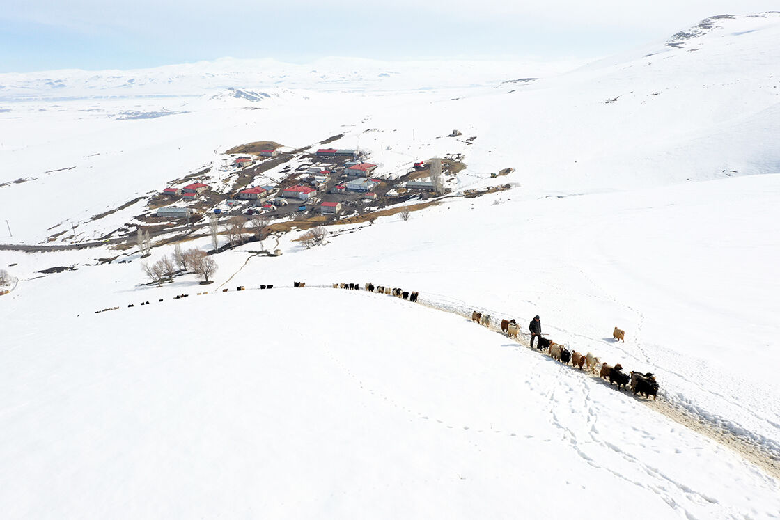 Agustos 2024 Tekkicc3