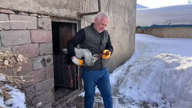Hakkari'de bulduğu yavru leyleği donmaktan kurtardı