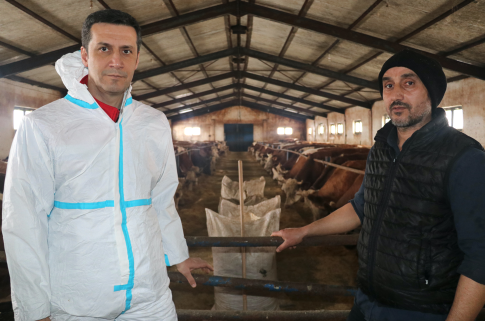 Destekle Ahır Kurdu, 140 Büyükbaş Yetiştiriyor (4)