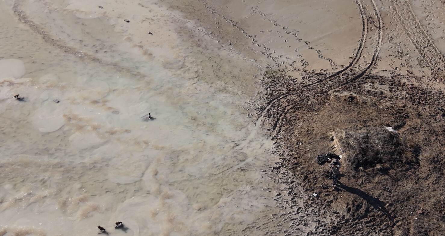 Kaçak avcılar doğa koruma ekiplerine ateş açtı,