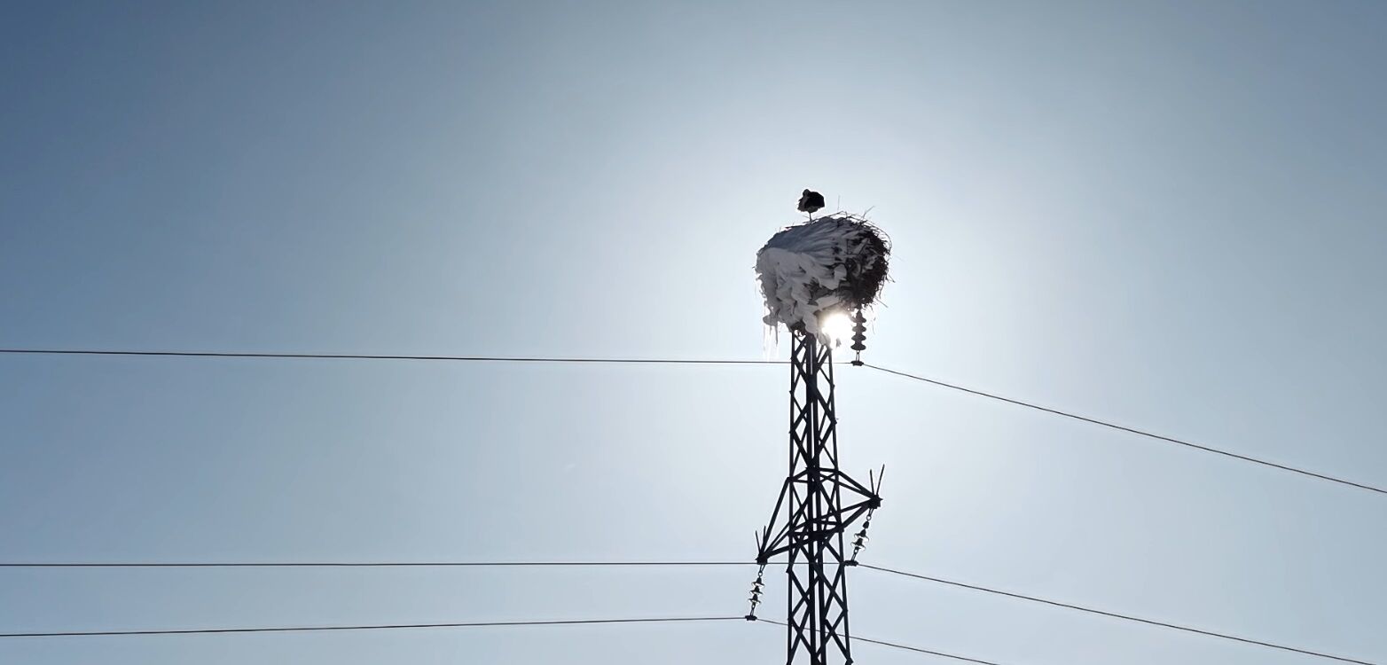 K A R L A K A P L I O V A D A Y U V A S I N D A K I L E Y L E K G O R 1196798 355876