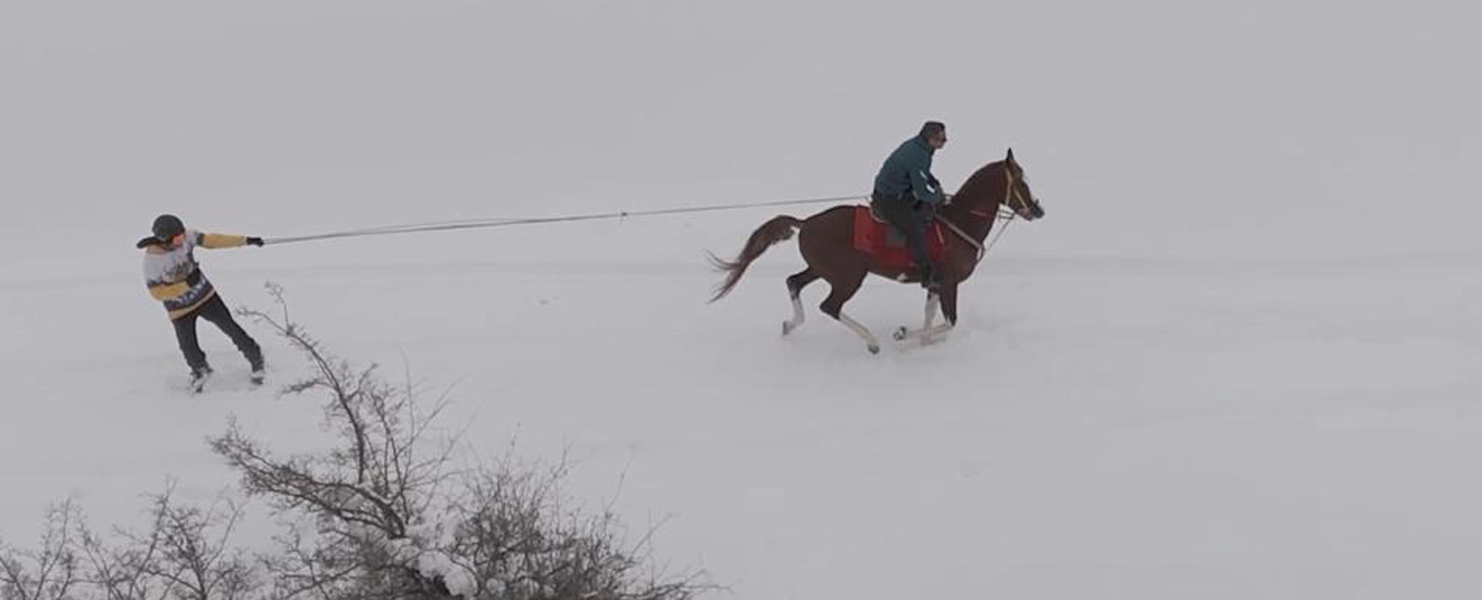 K A R L I A R A Z I D E O N C E S A F A R I A R D I N D A N A T L A 1198246 356334