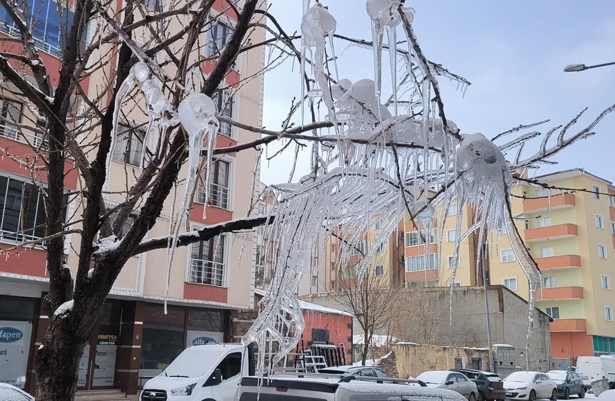 Kars’ta ağaç dalları buzla kaplandı