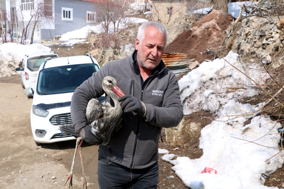 Hakkari'de bulduğu yavru leyleği donmaktan kurtardı