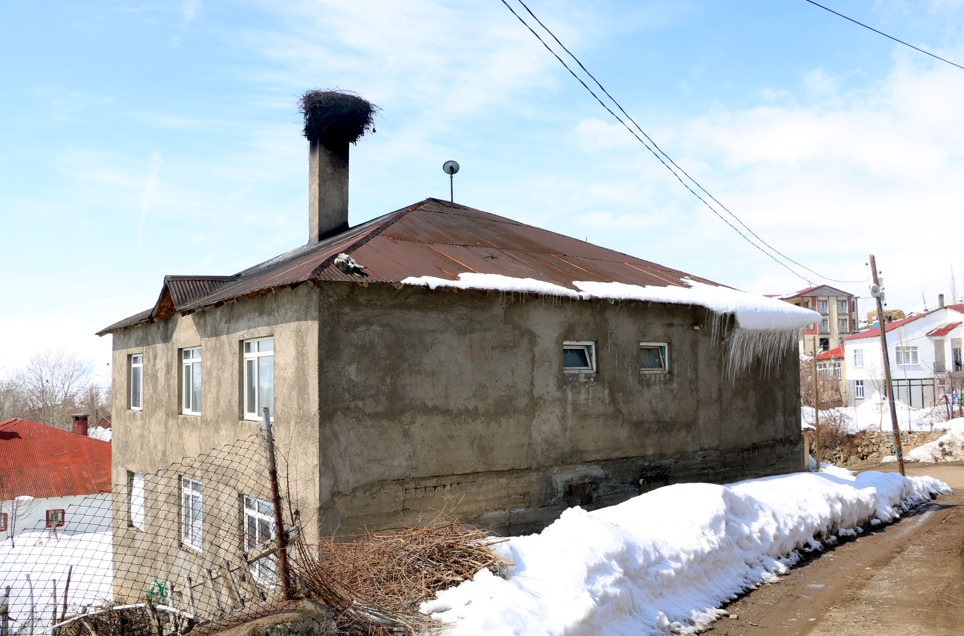 Hakkari'de bulduğu yavru leyleği donmaktan kurtardı