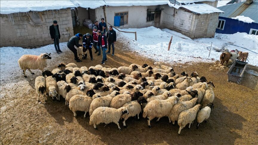 Thumbs B C 36Eebc9505Dd5E96Cd301Cf0Cee68104