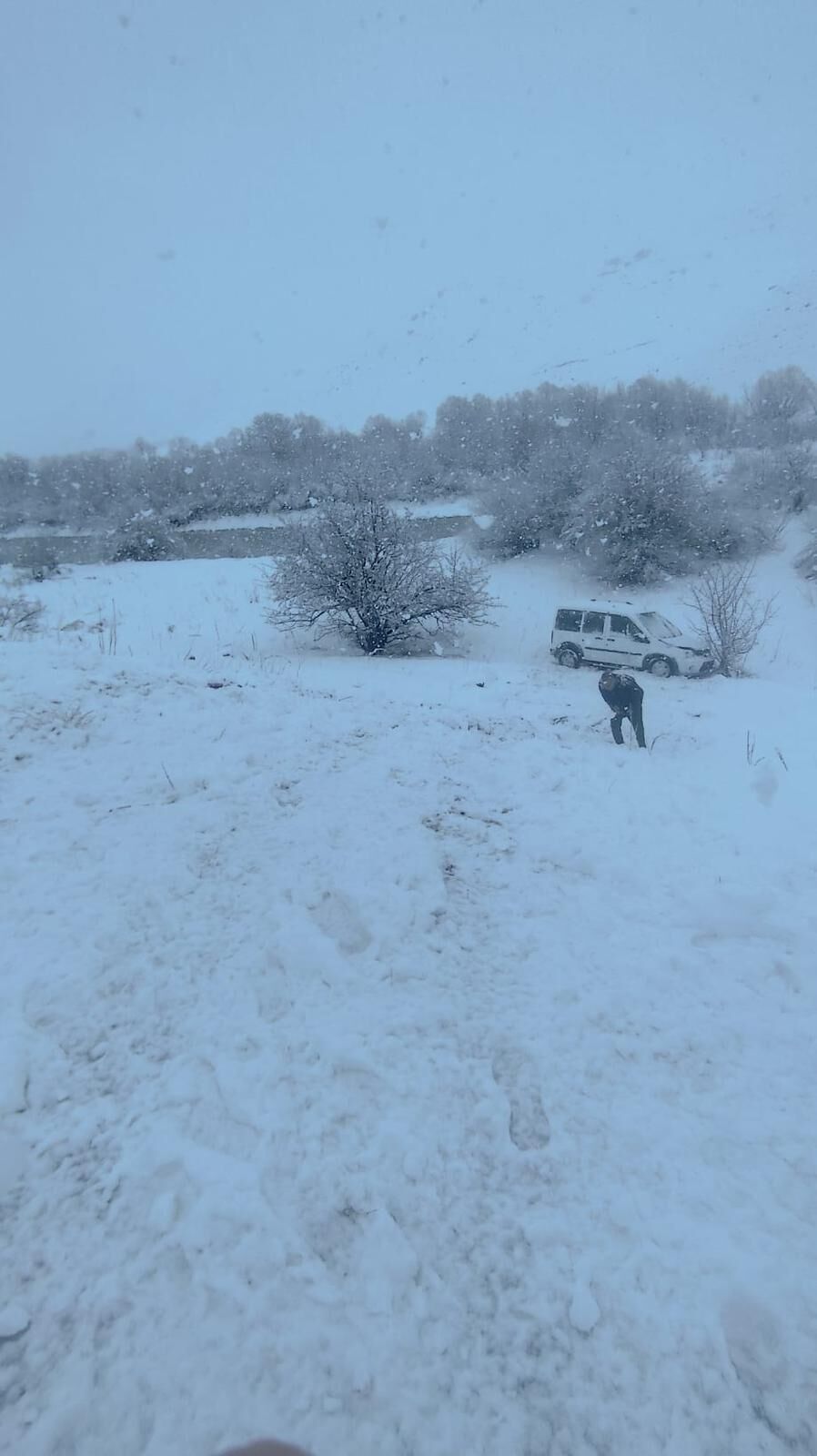 Whatsapp Image 2026 03 22 At 15.5A7.53