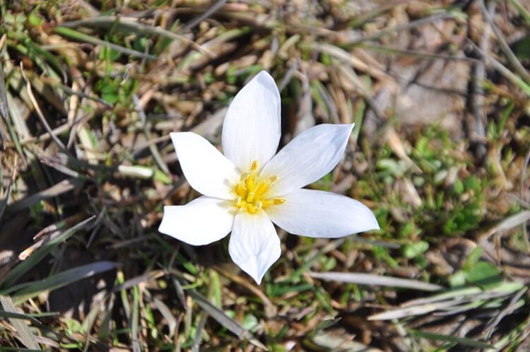 2026 04 A A 41002823