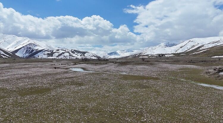 2026 04 A A 41002824