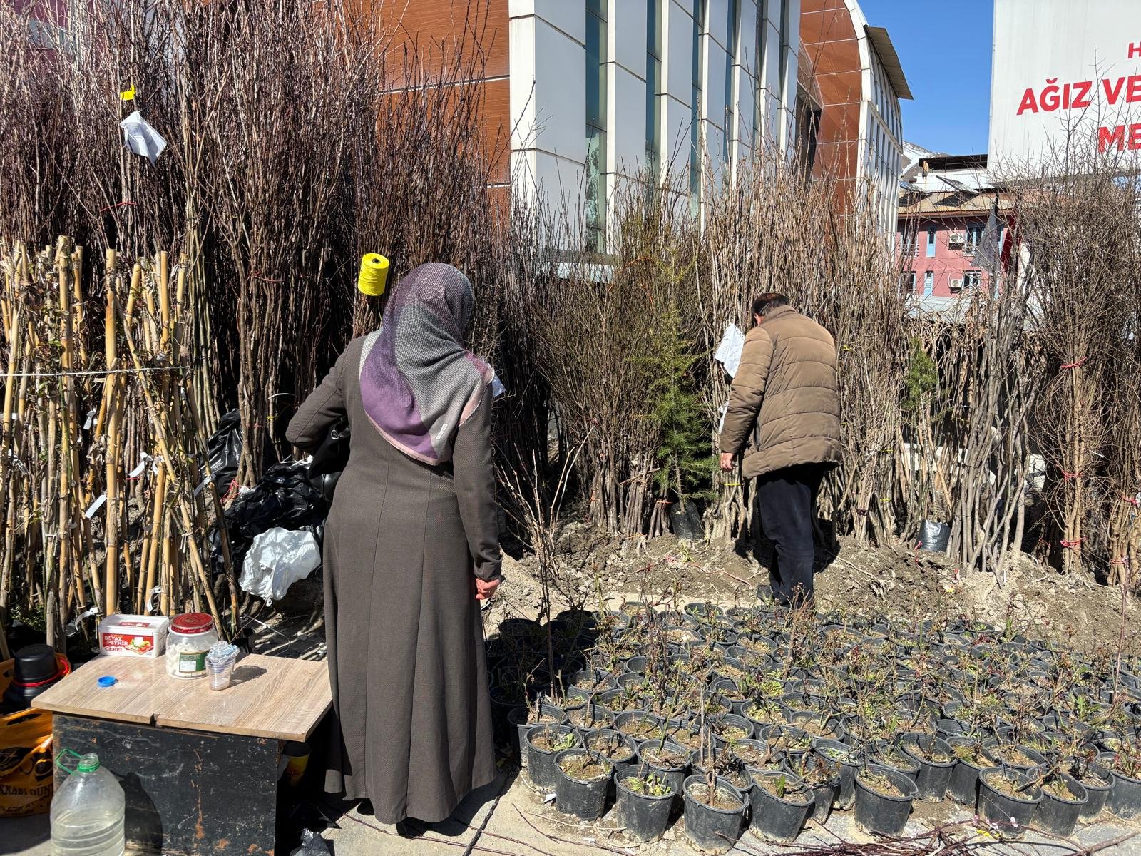 Hakkari’de 25 yıldır aynı noktada fidan satıyor
