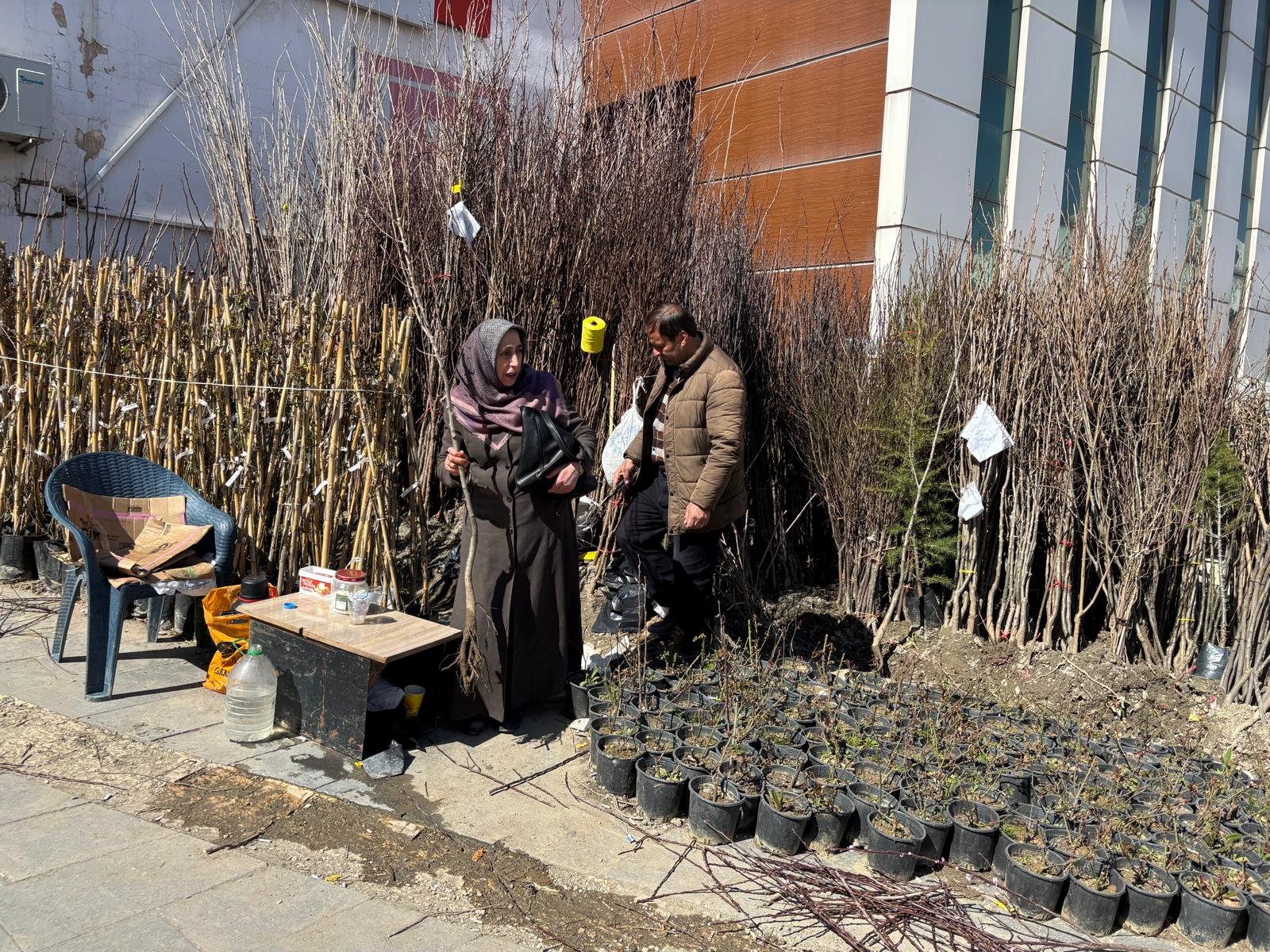 Hakkari’de 25 yıldır aynı noktada fidan satıyor