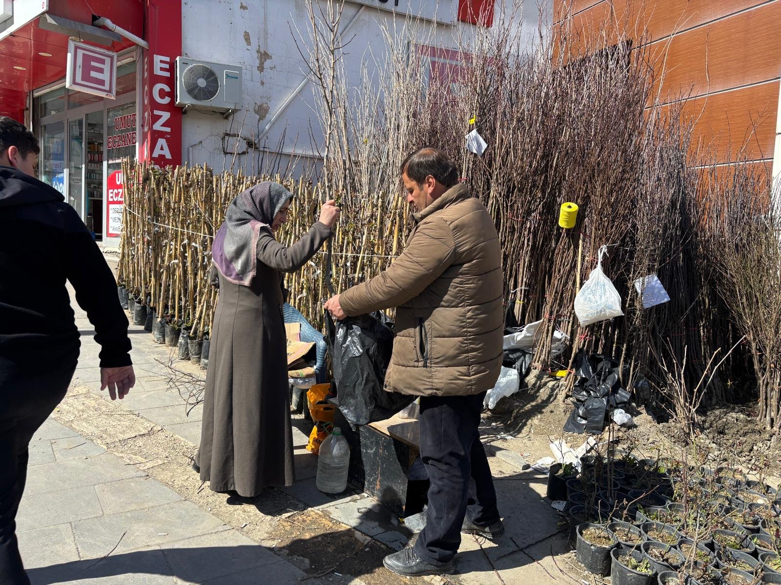 Hakkari’de 25 yıldır aynı noktada fidan satıyor