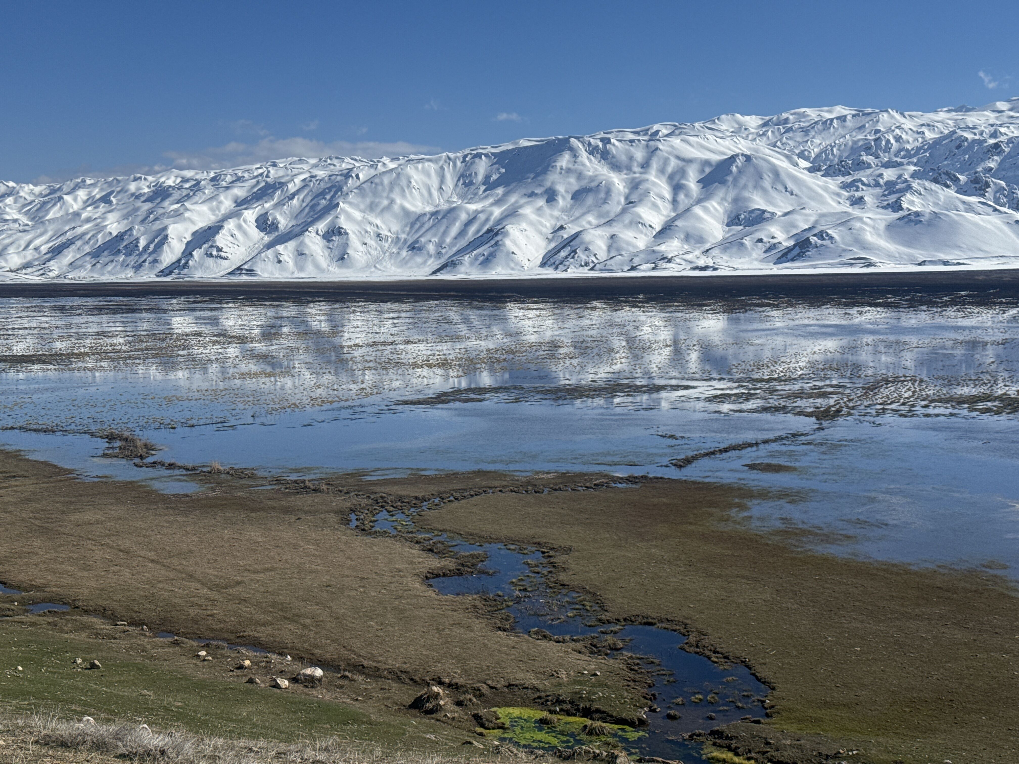 Hakkari'deki Nehil Sazlığı'nda su seviyesi yükseldi