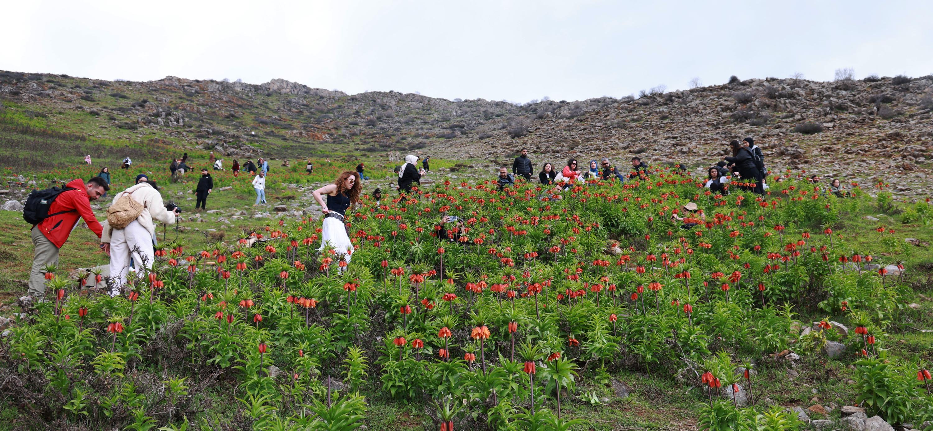 M U S U N Z I R V E L E R I T E R S L A L E L E R L E R E N K L E N D 1275851 379712