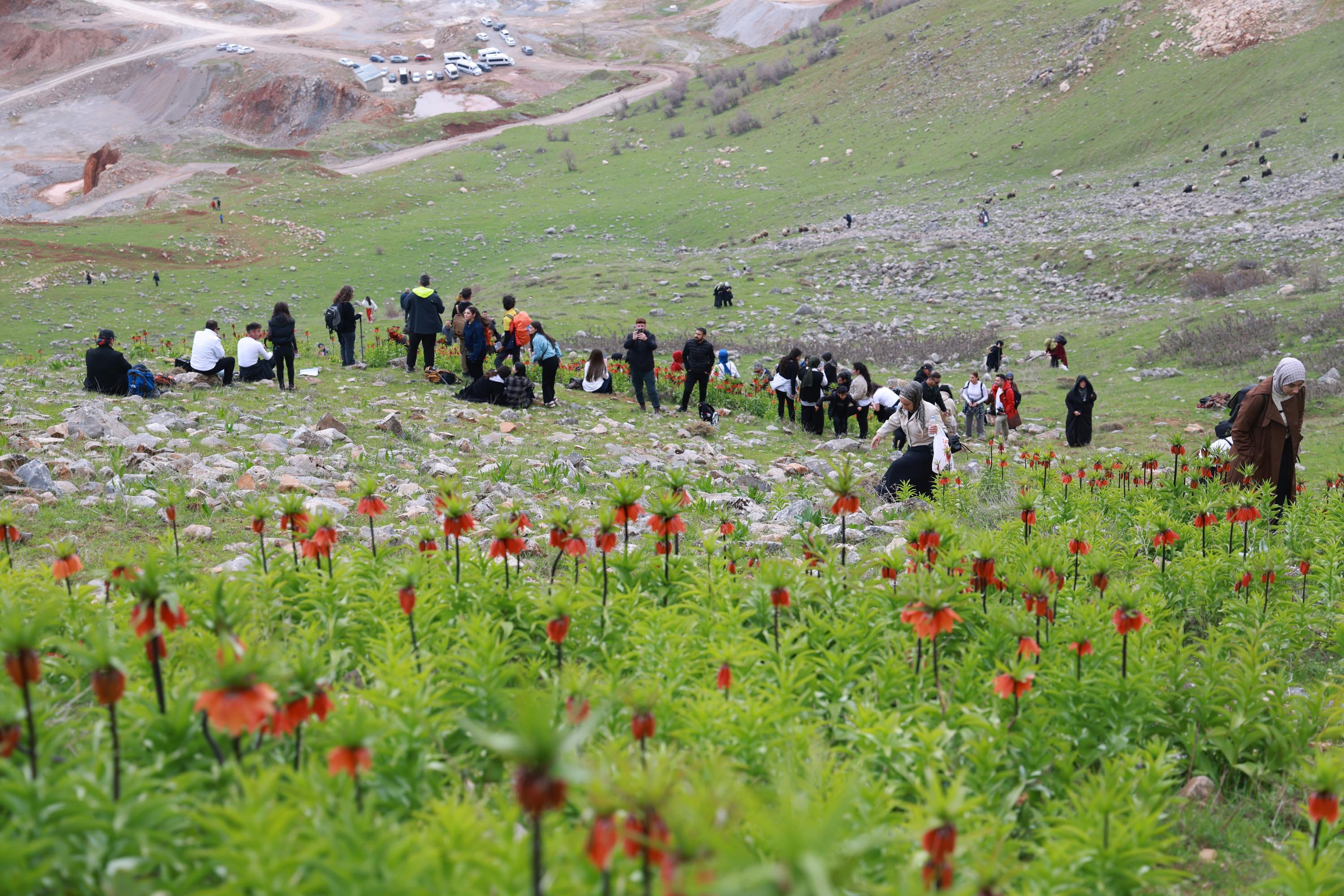 M U S U N Z I R V E L E R I T E R S L A L E L E R L E R E N K L E N D 1275854 379712