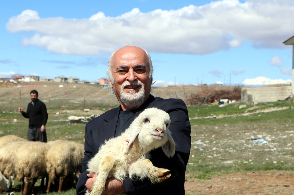 Van’da Norduz koyunlarında doğum heyecanı