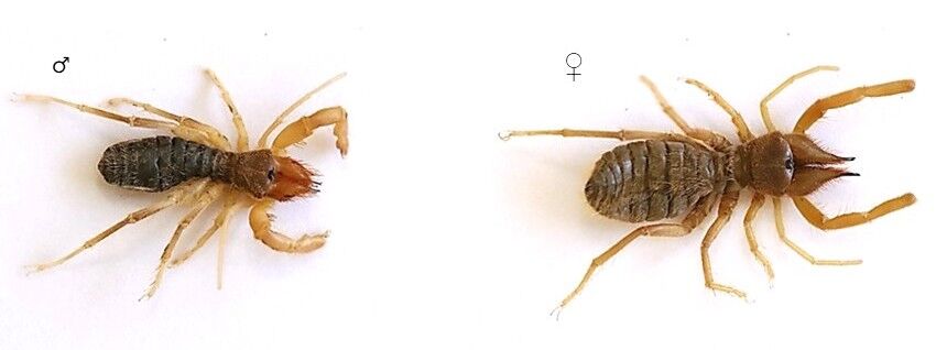 Whatsapp Image 2026 04 02 At 12.37.36