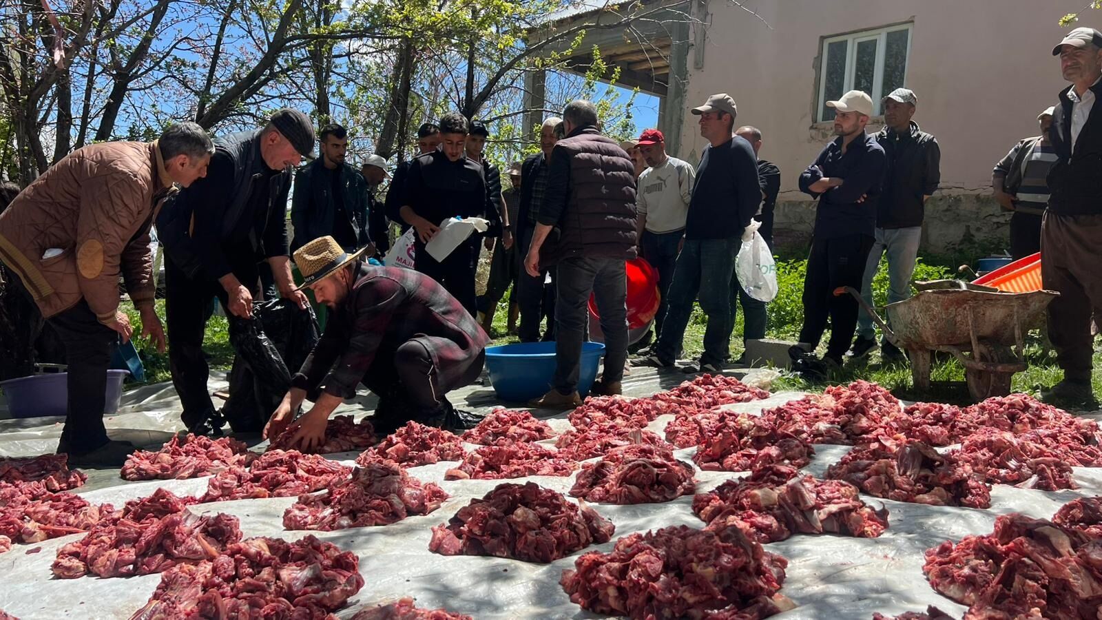 Hakkari'nin bu köyünde 120 kurban kesildi