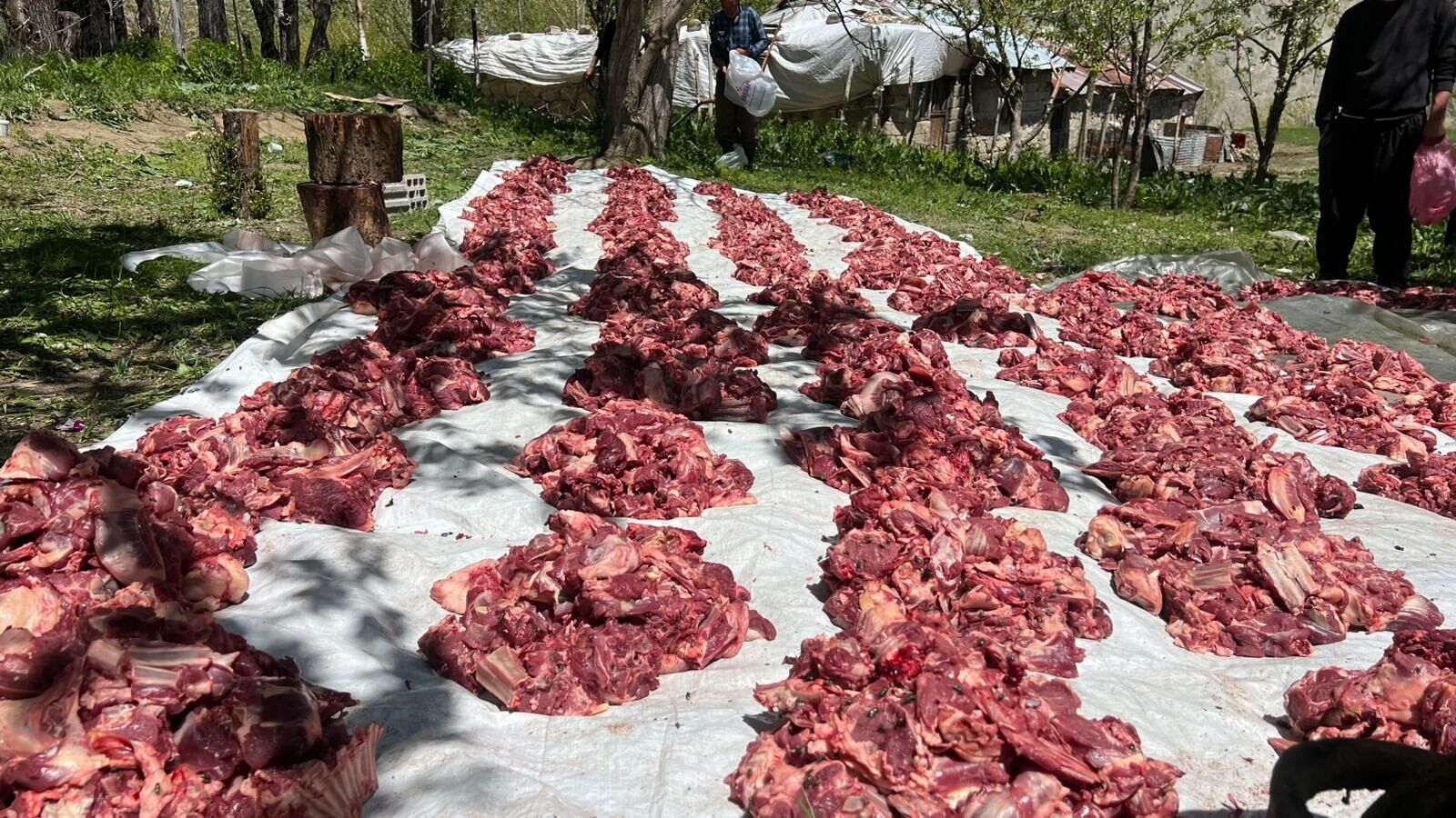 Hakkari'nin bu köyünde 120 kurban kesildi